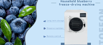 冻干水果：自然甜味的便捷享受