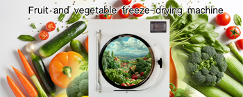 冻干果蔬：营养与口感的完美封存