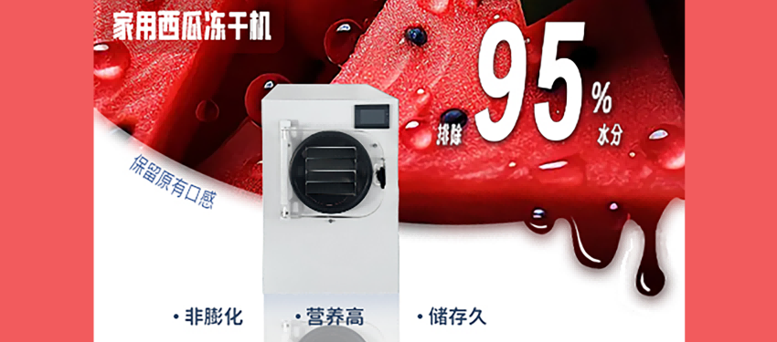 西瓜冻干机：西瓜新吃法——冻干西瓜