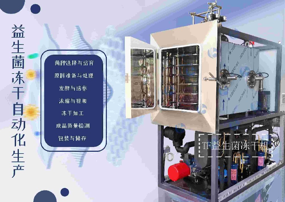 冬虫夏草冻干机：提升免疫力的科技途径