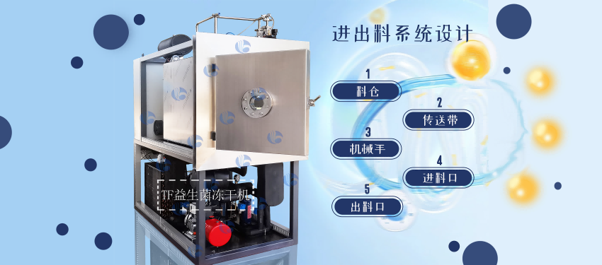 冻干机精制：益生菌的纯净营养与活性成分