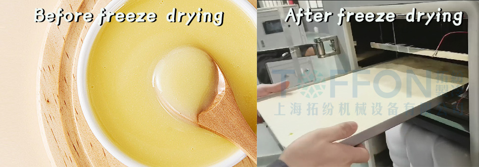 蜂王浆.jpg